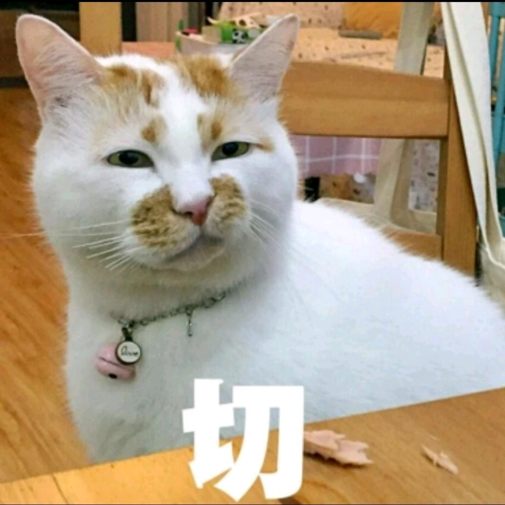 碳烤腰子🎤
