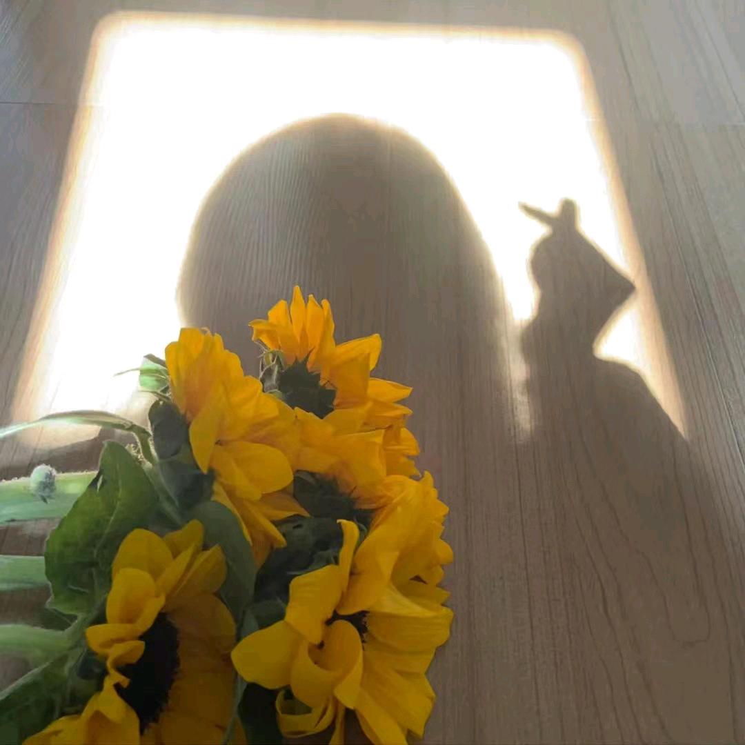 🎬大女主在抖音