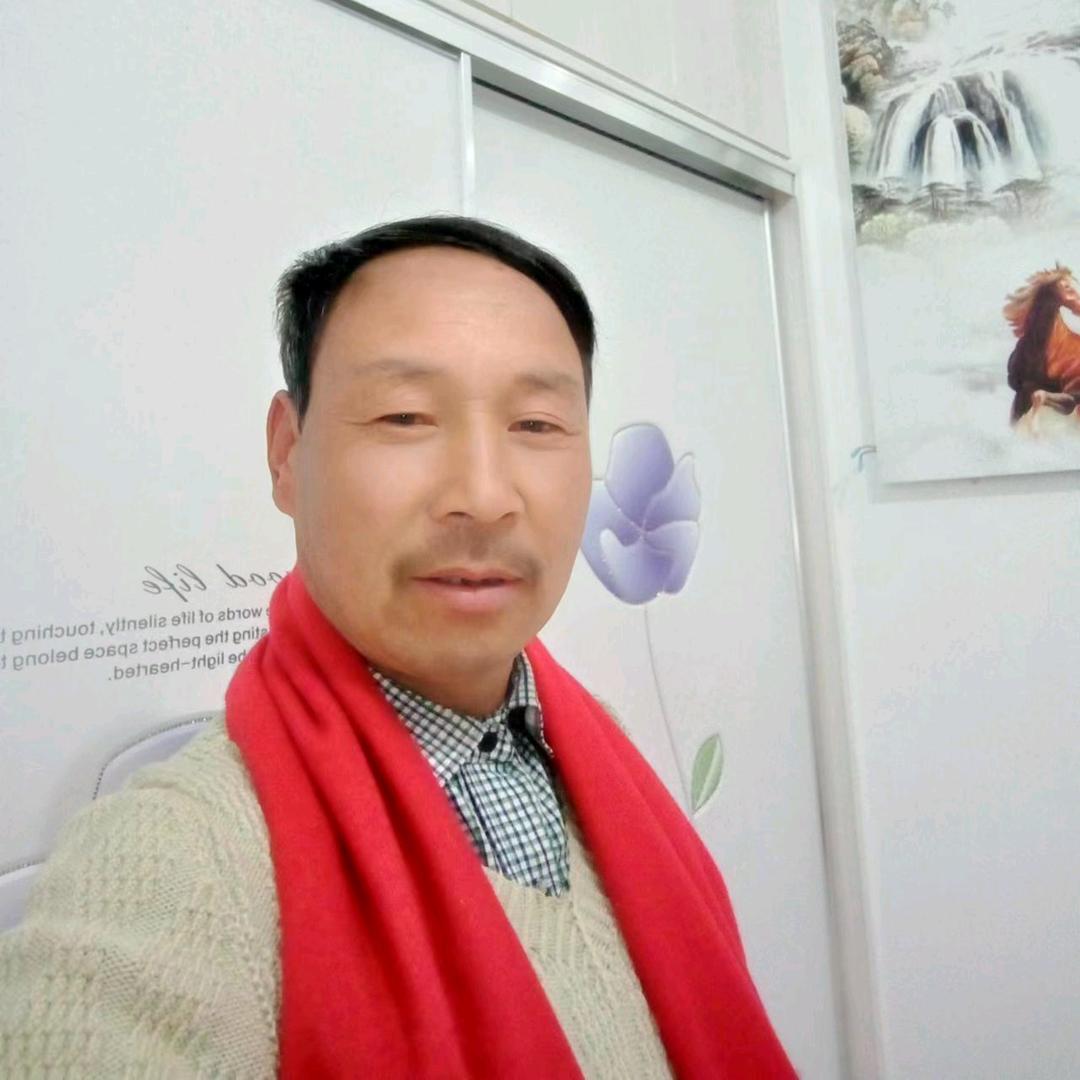 云在飞