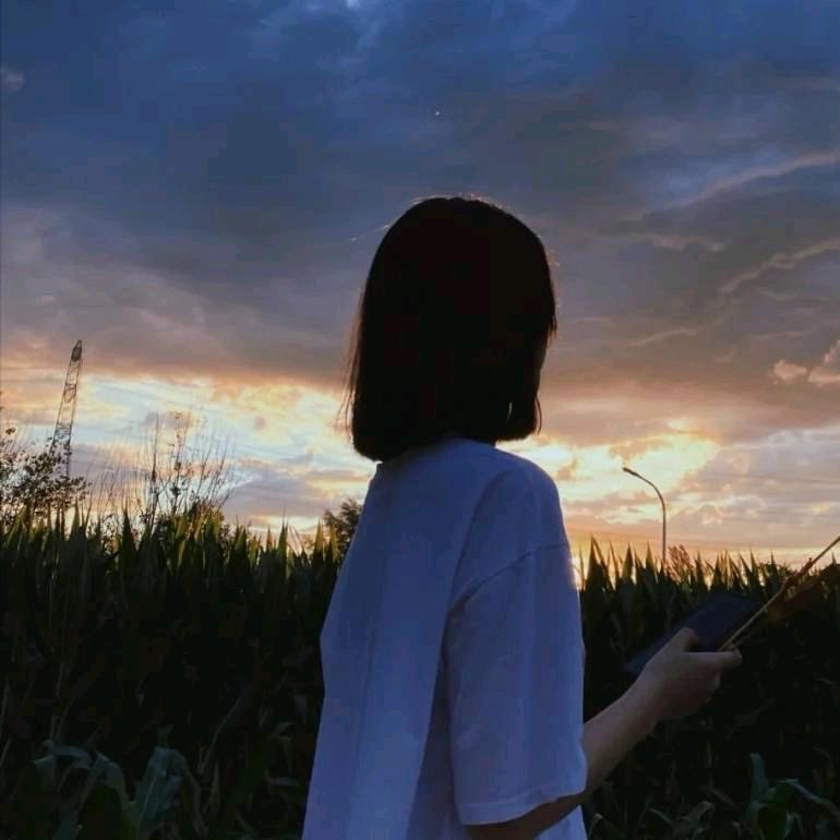 晓何