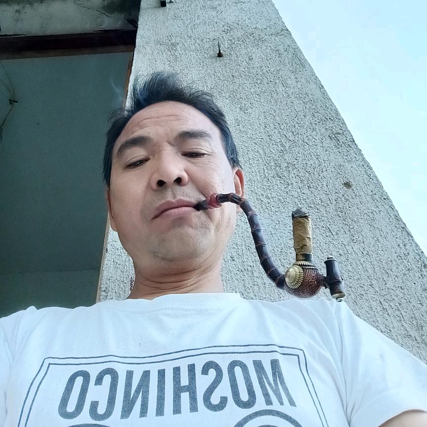 受伤的翅膀