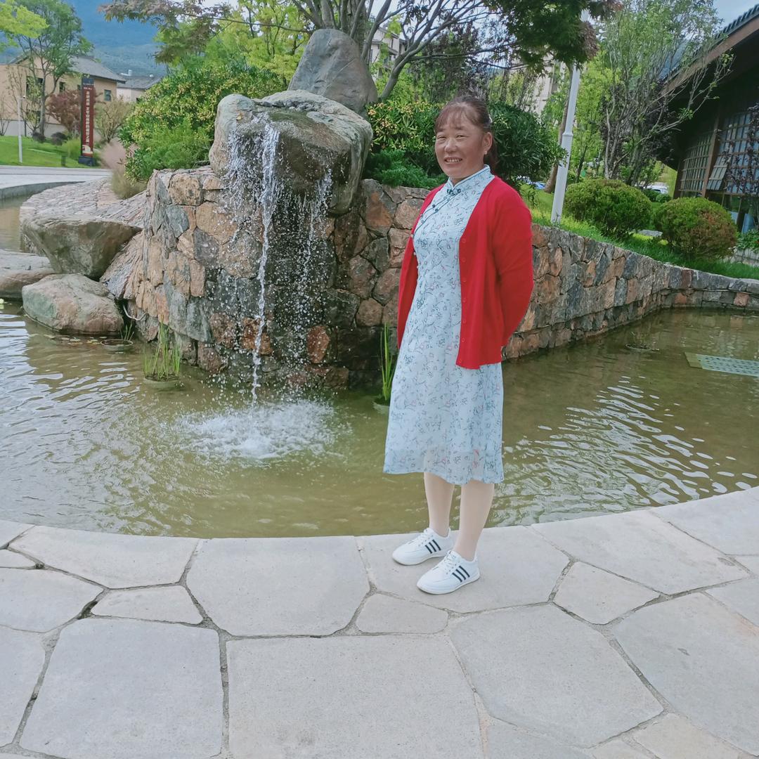 高家一枝花