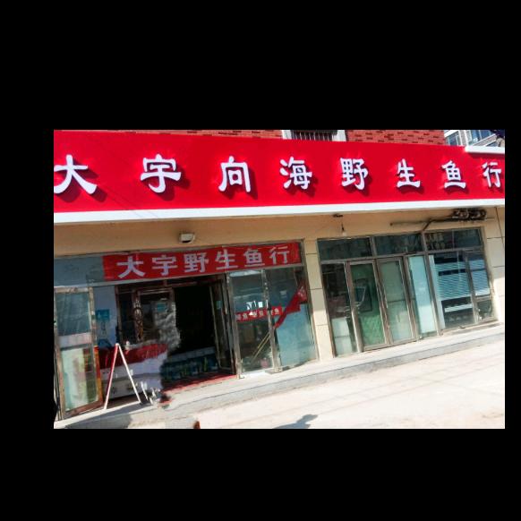 向海野生鱼！土匪！大当家！