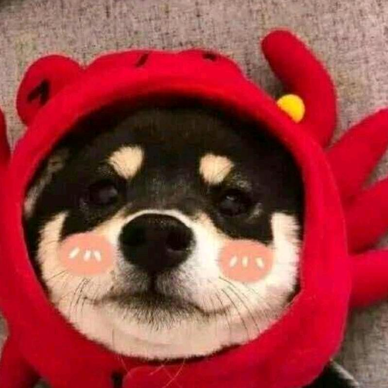 。。。11