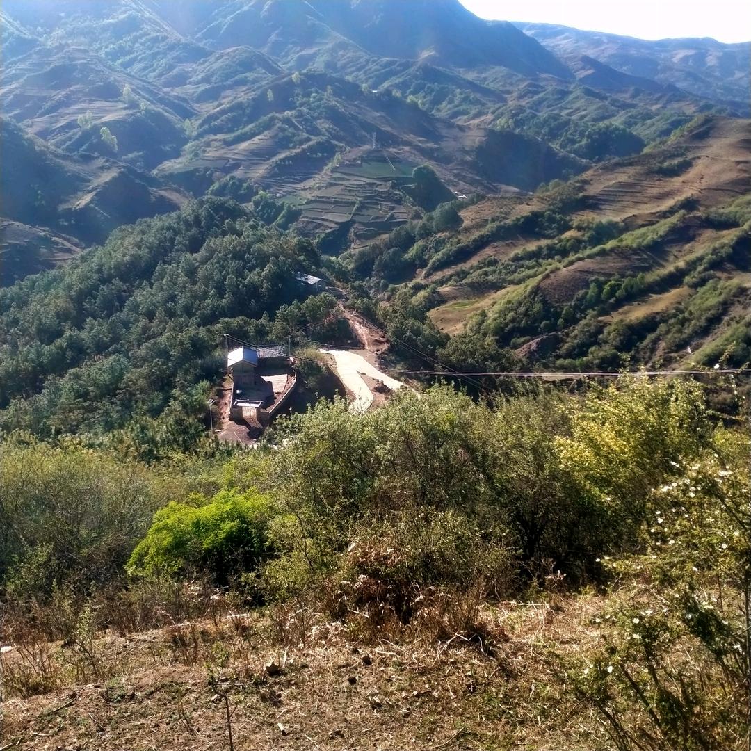 旅游景点有限公司董事长马海阿沙