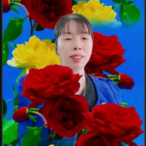 杨姐