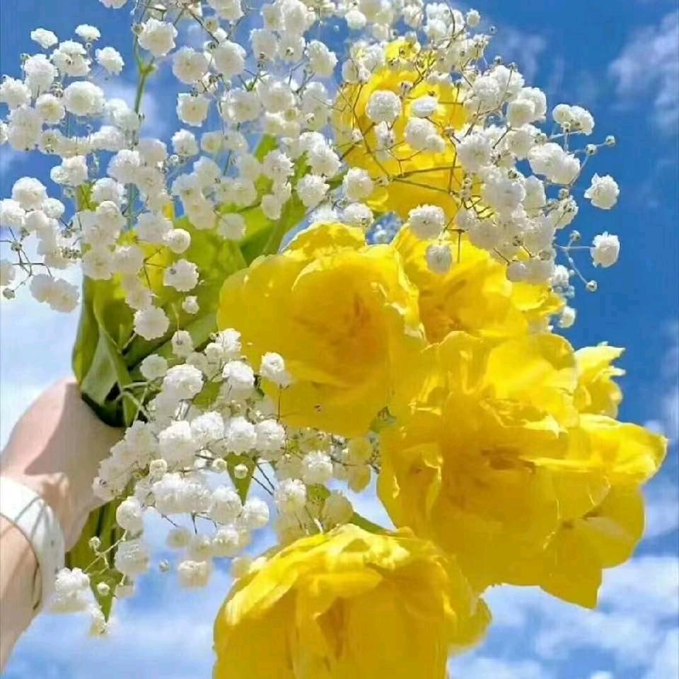 ❤️❤️❤️且行且珍惜❤️❤️❤️