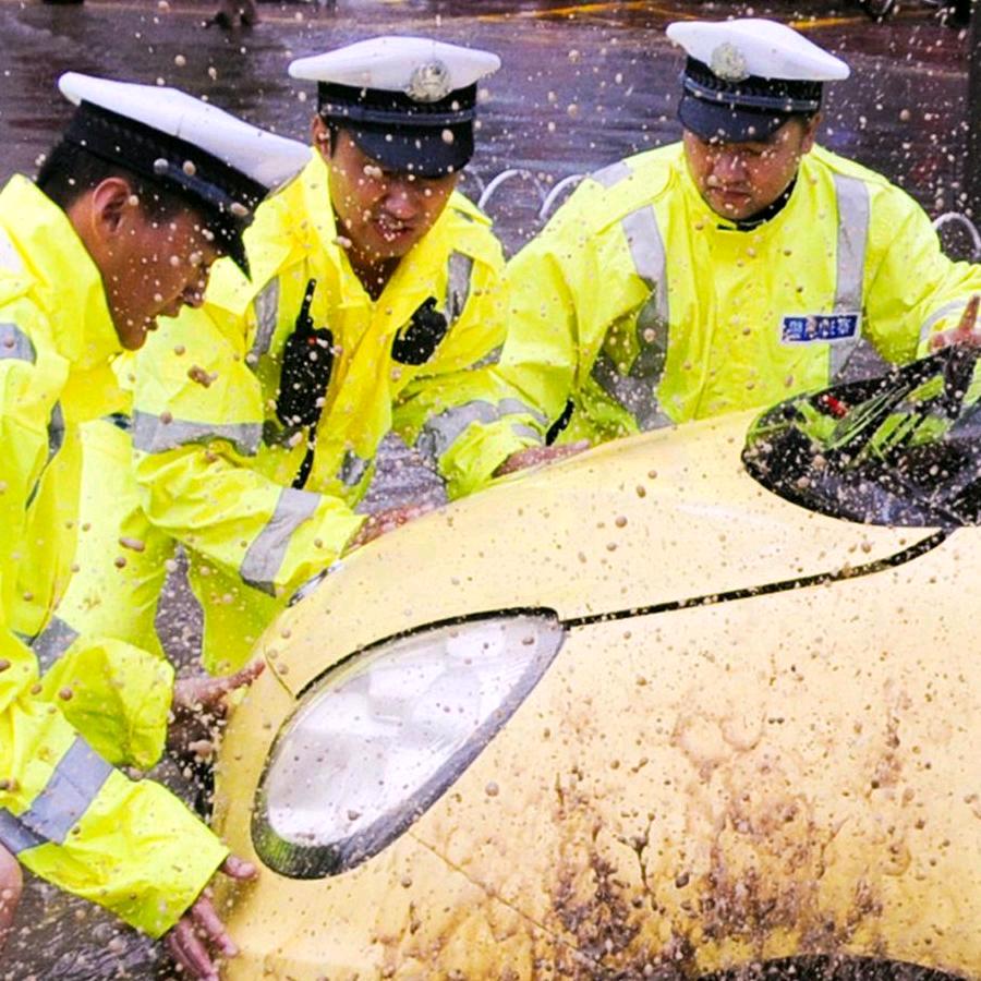沧州公安交警