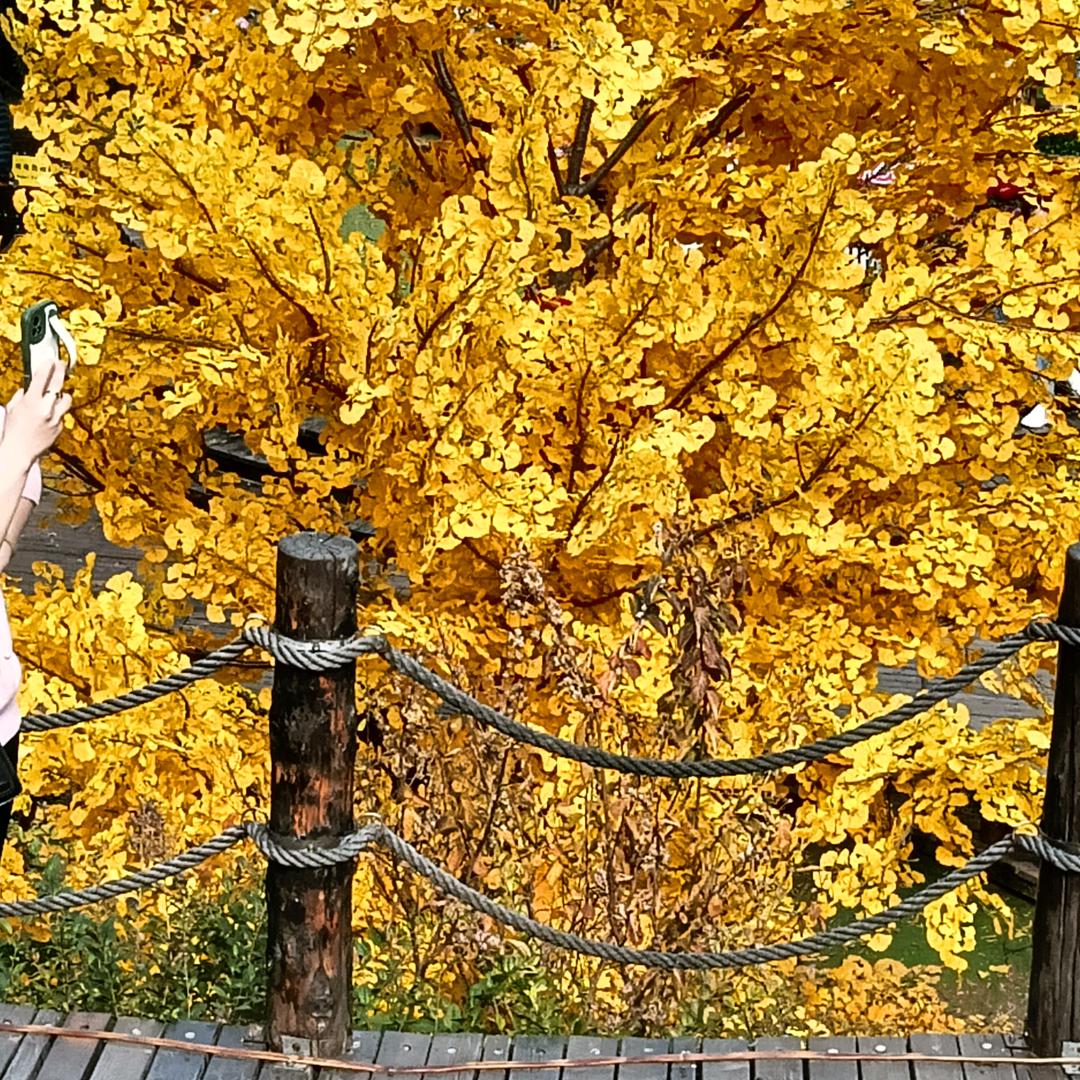 好想回到以前