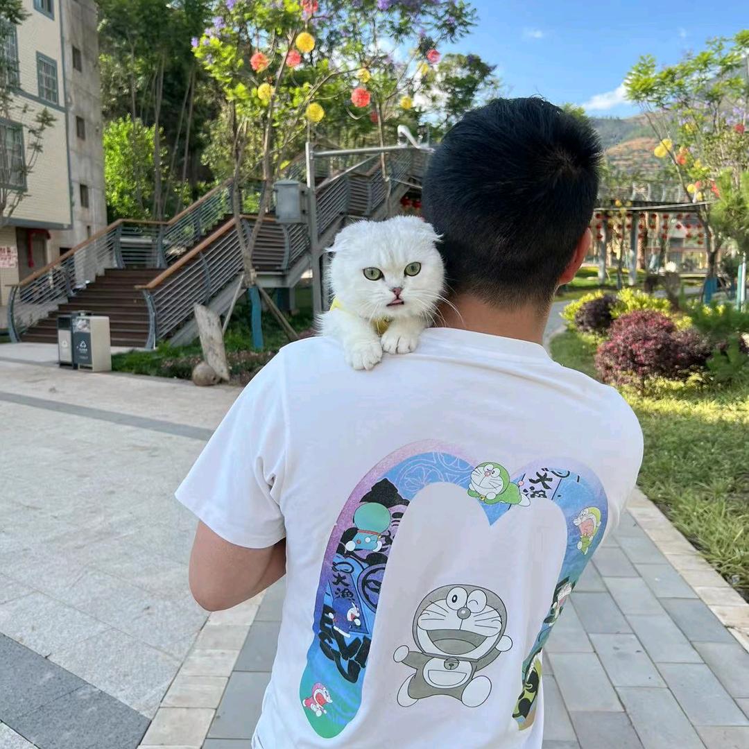 胜天半子、