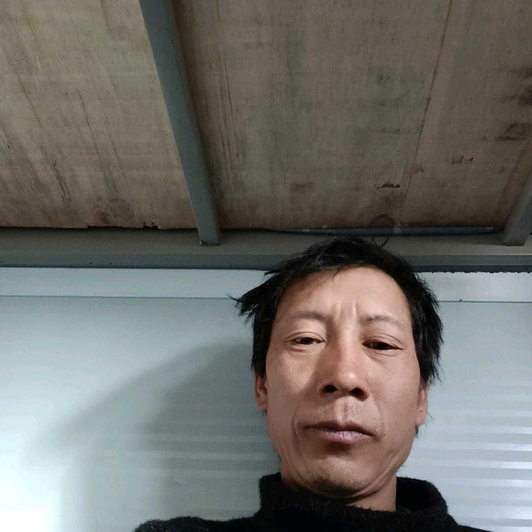 杨朝坤