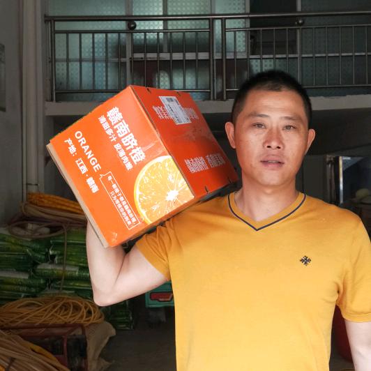 云鑫脐橙种养园