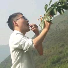 涂先森