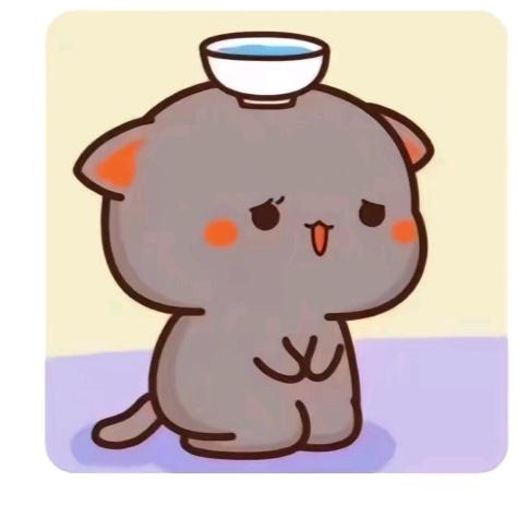 再爱一次人间