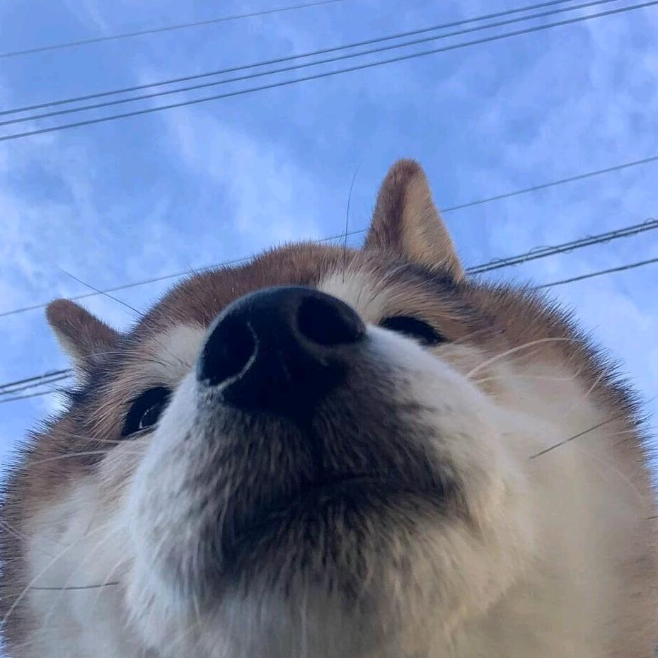 截胡