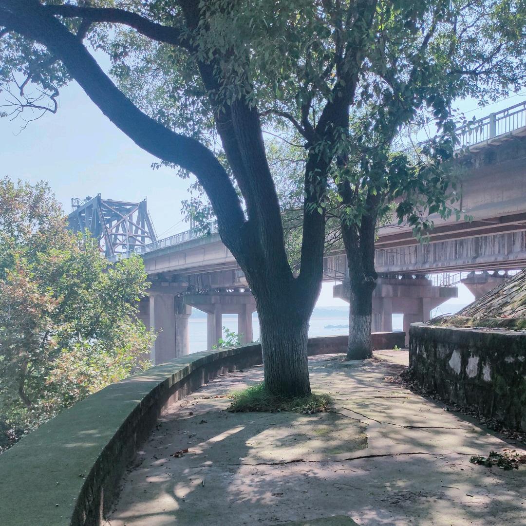 毛湖淌渔具店