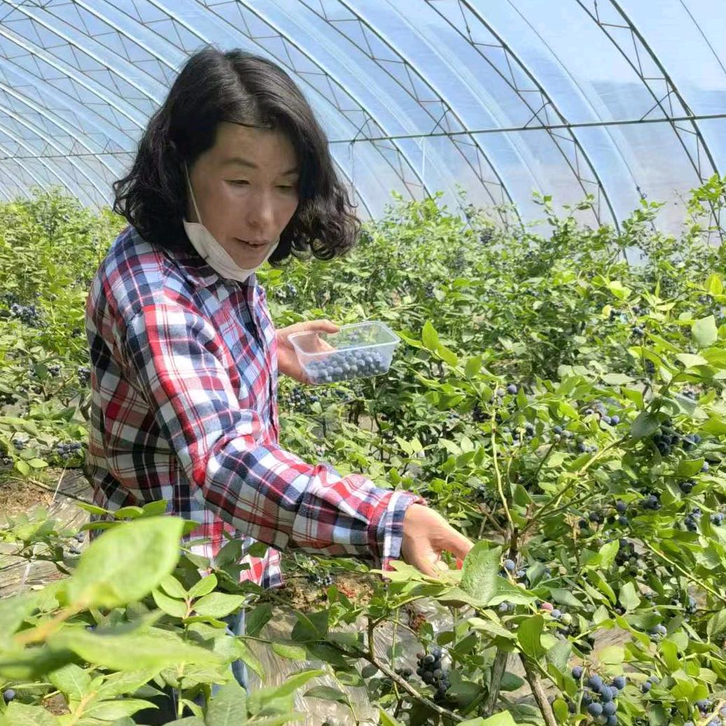 大英子的乡村生活