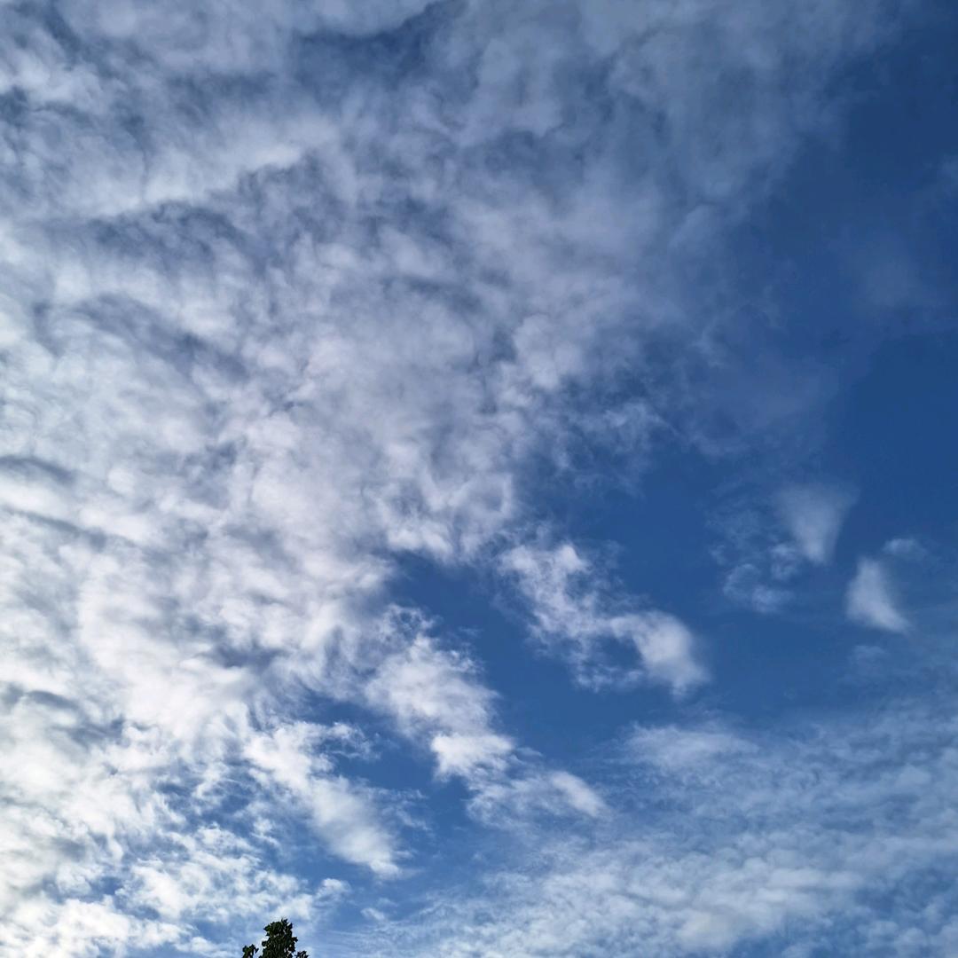 SF王老师