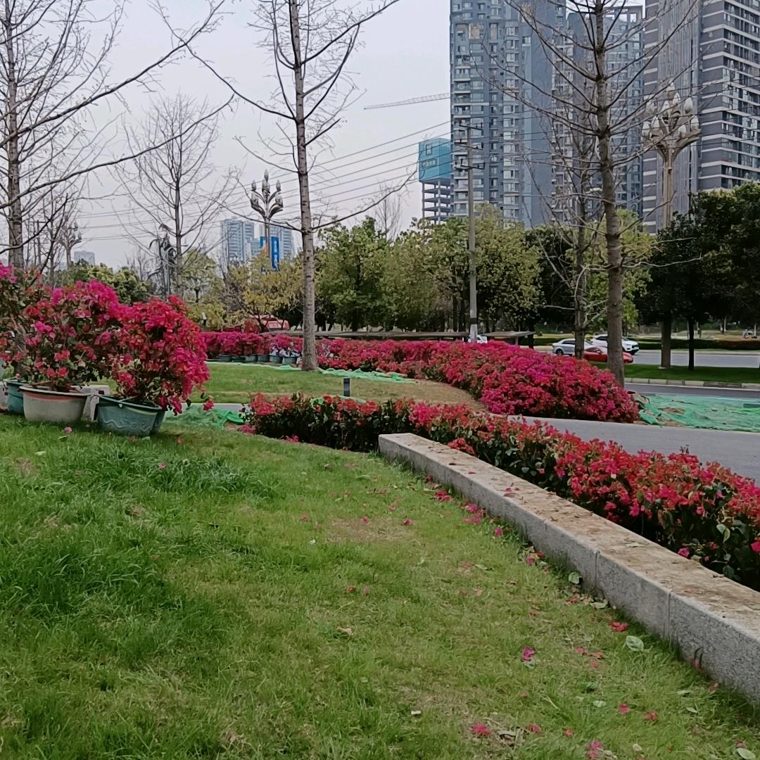 往事随风·阔步前行