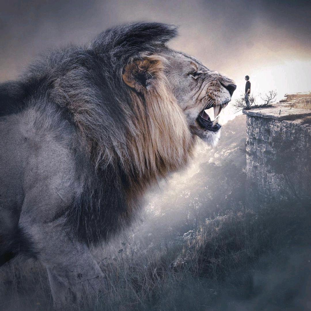 光伏电站结构设计生产