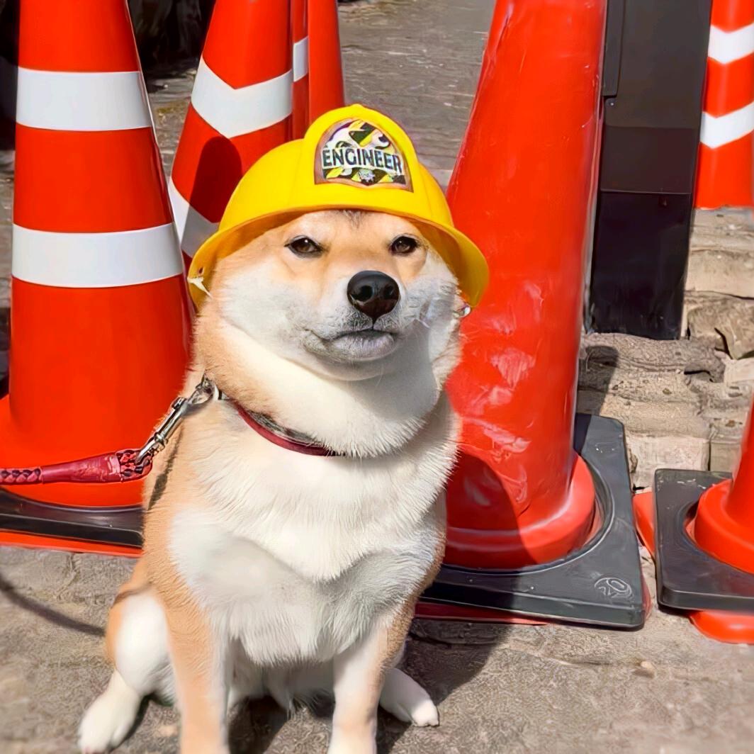 东西南北人