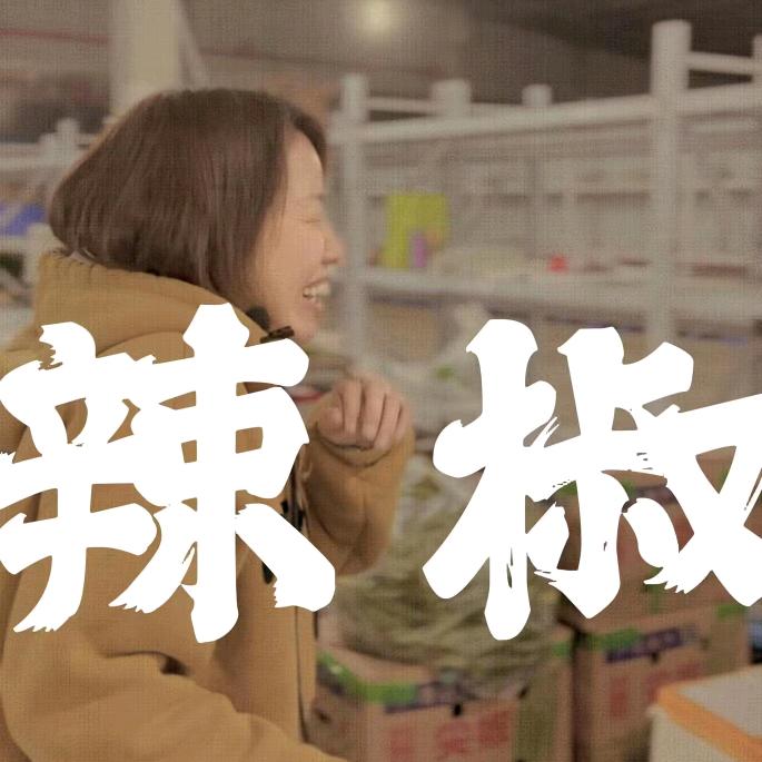 长沙湘厨在线供应链