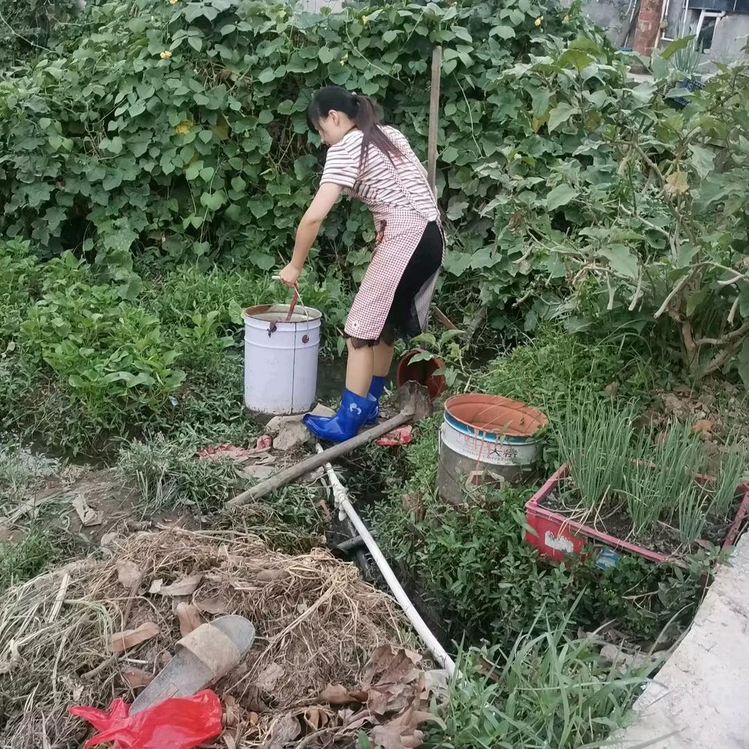 阿梅农家茶