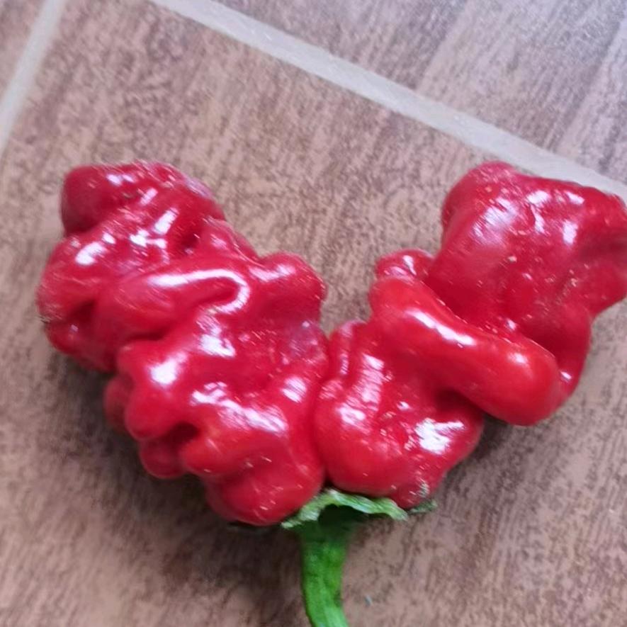 卢生紫明《敬》东西