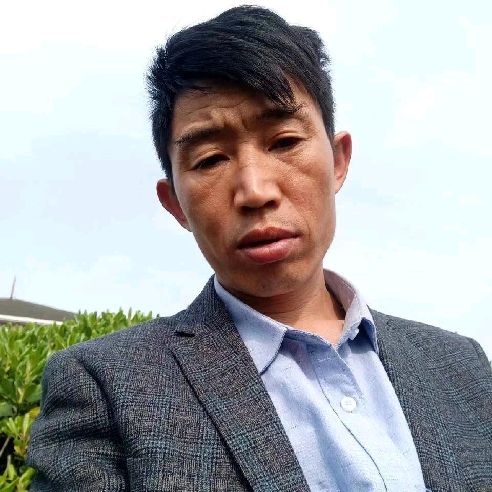 美好的玫瑰