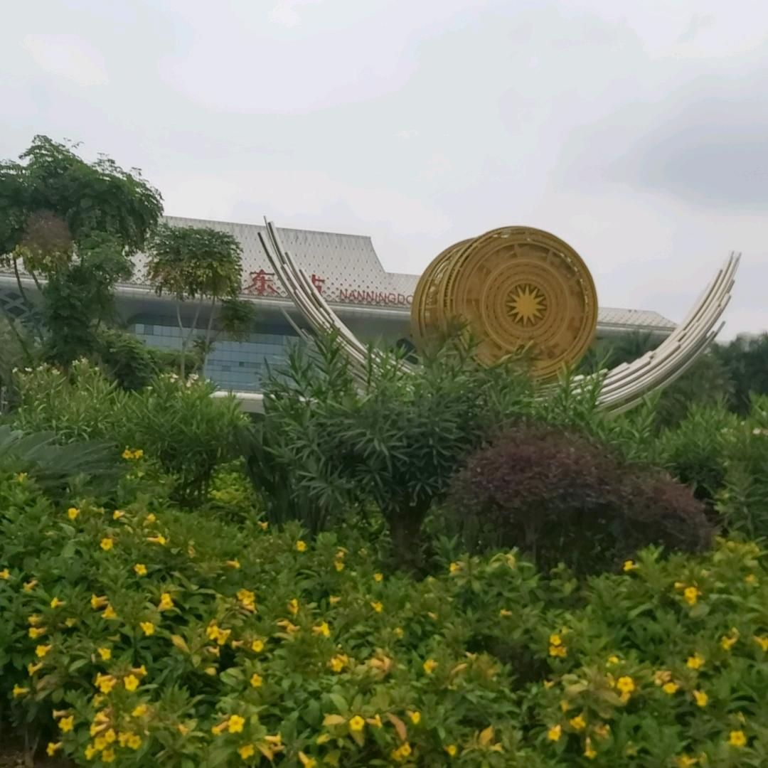 仰望星空❗