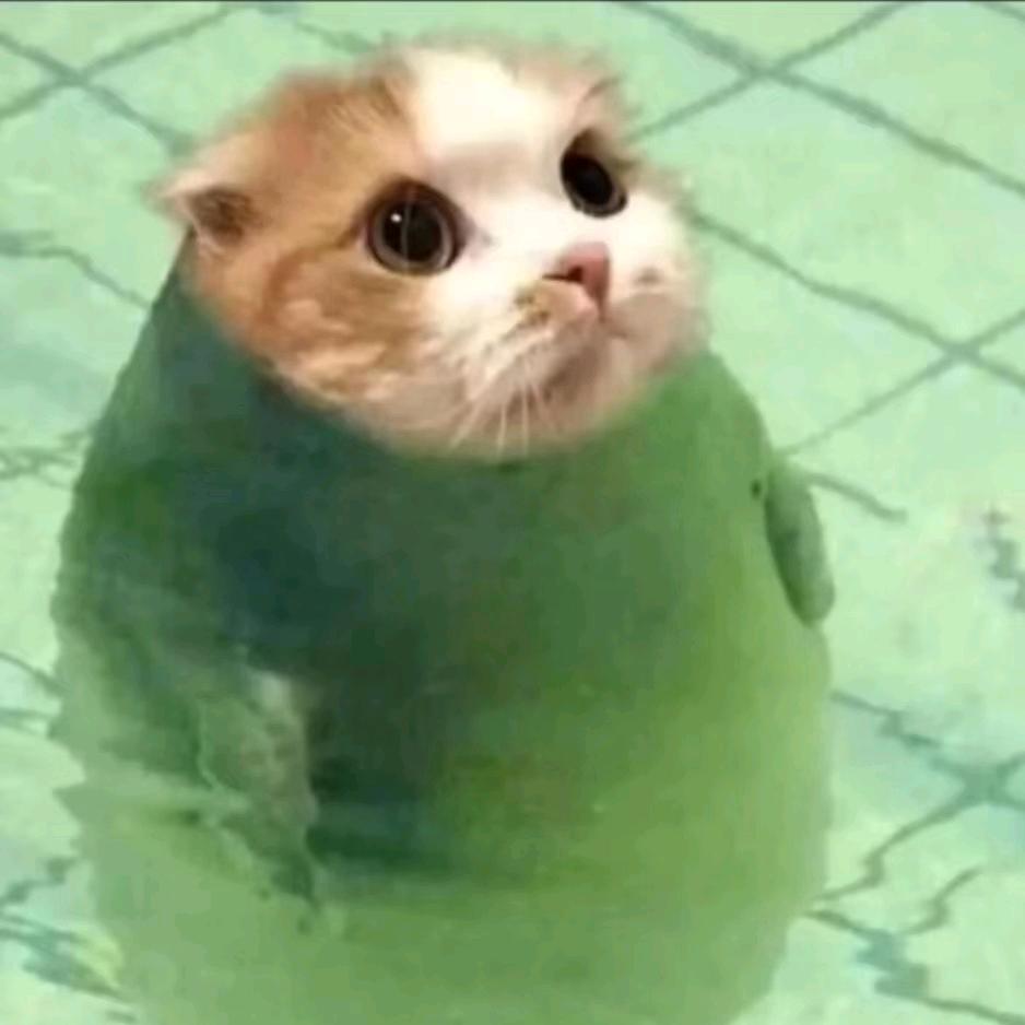 社死的社畜（需催更版）