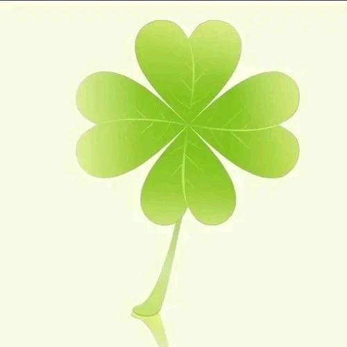 小幸运🍀