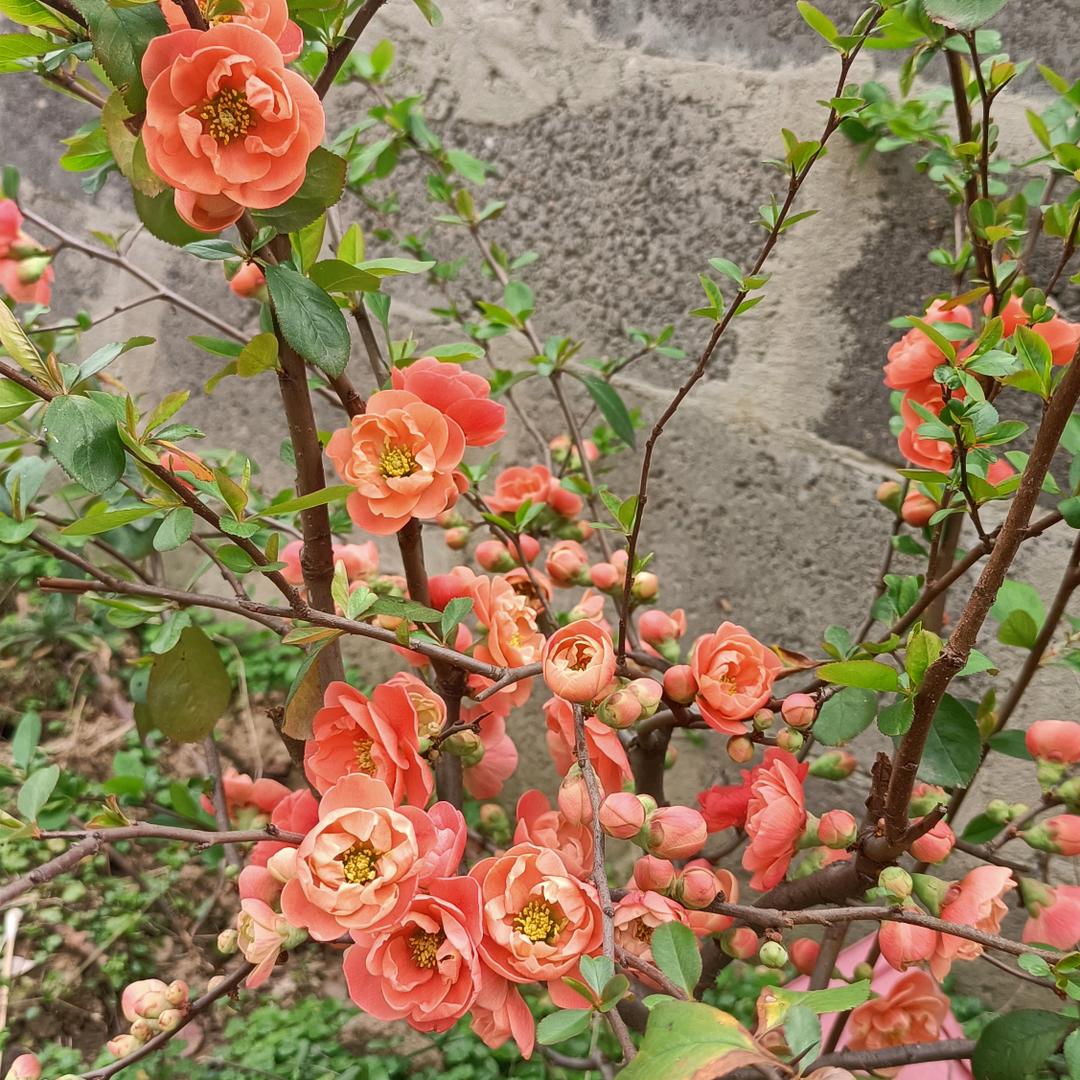 封心锁爱🔒拒绝私聊