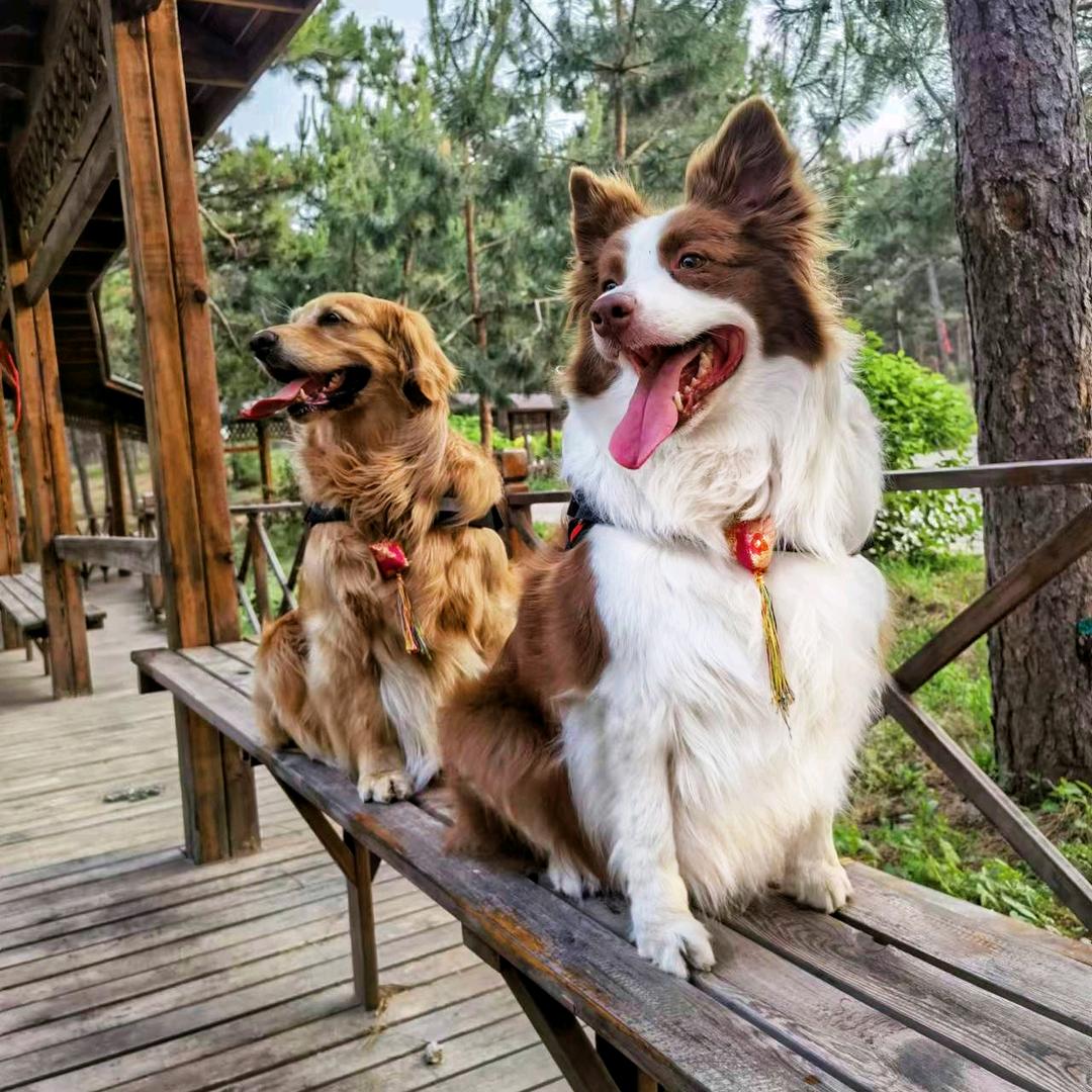 💃🏻彦麟🈶糖果🐕