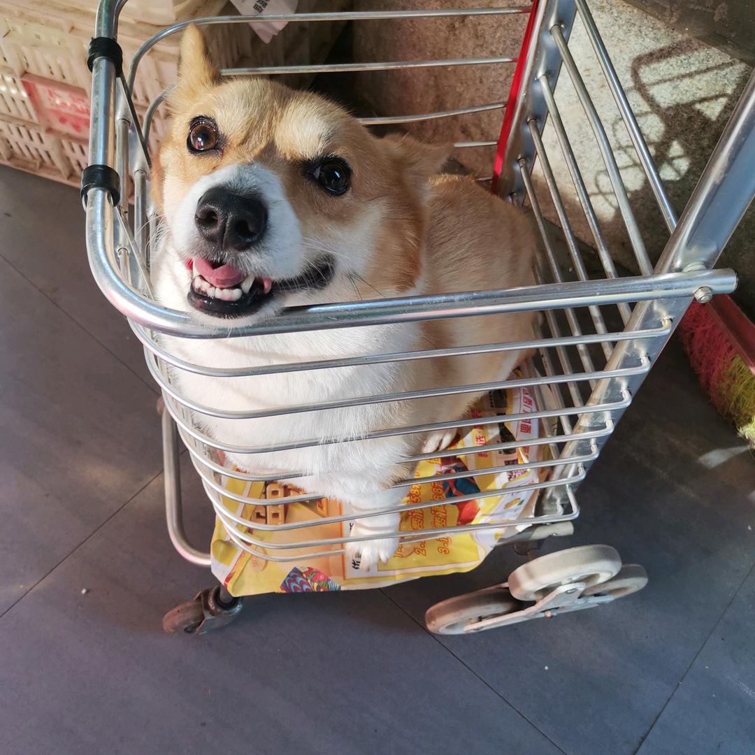 阿锐
