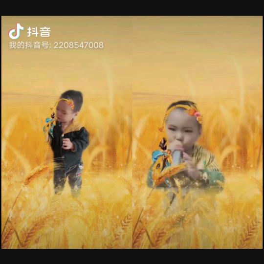 鲍丽