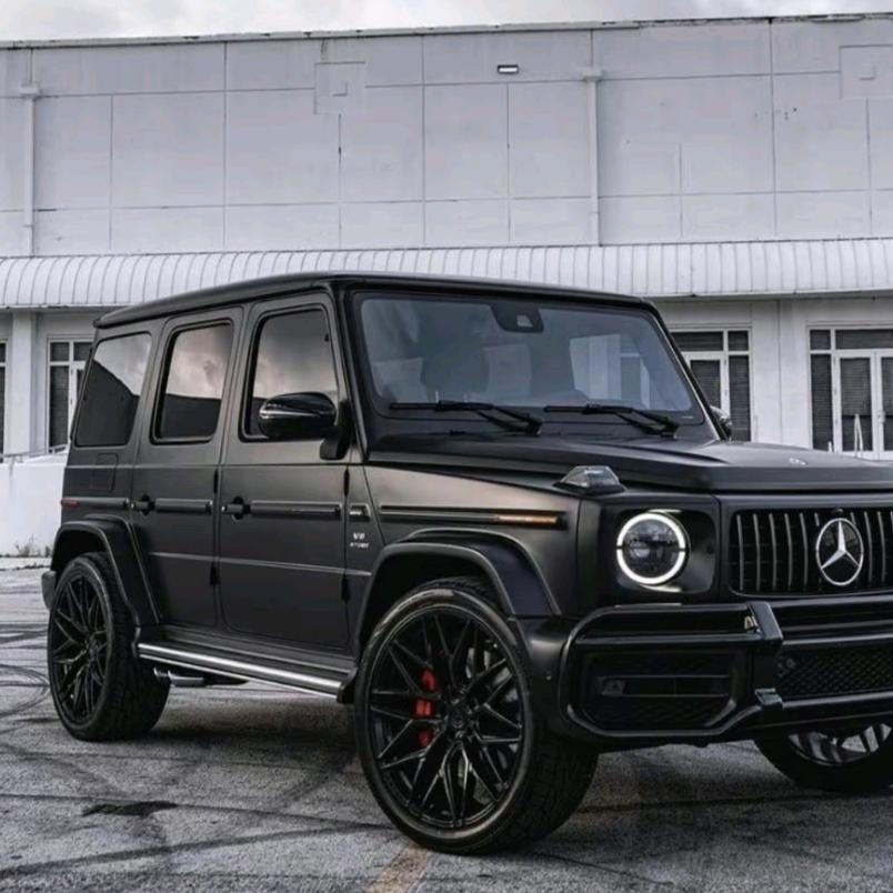 🐰🐰龙腾虎跃🐰🐰