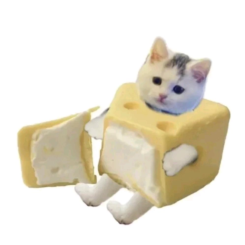 ooi
