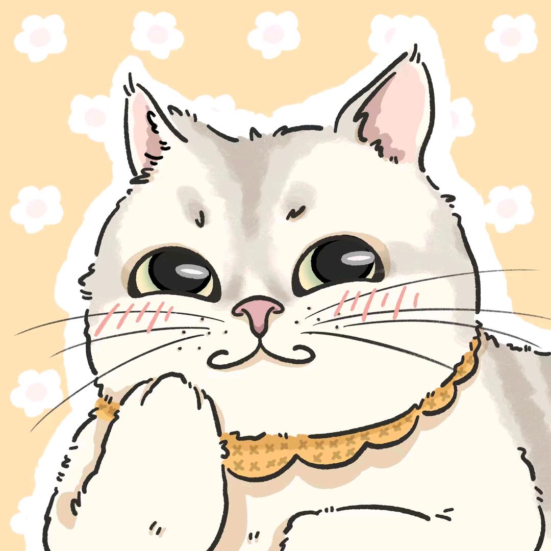 小兔子🐰