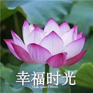平安快乐，开心每一天