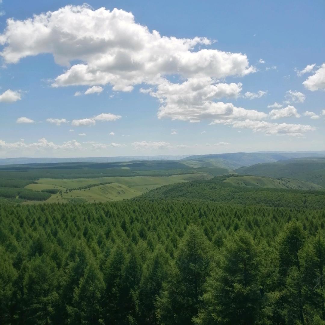 人生若只如初见🐛