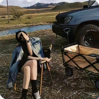 龄.