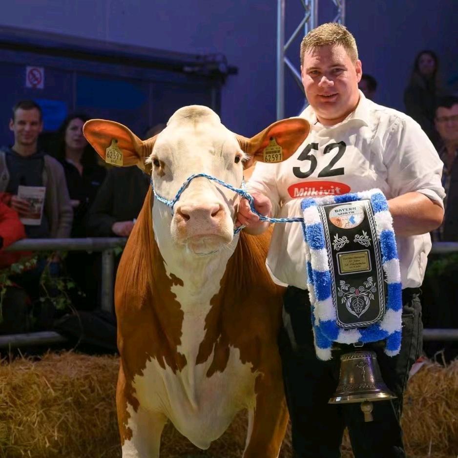 ༺肉牛༒改良༻