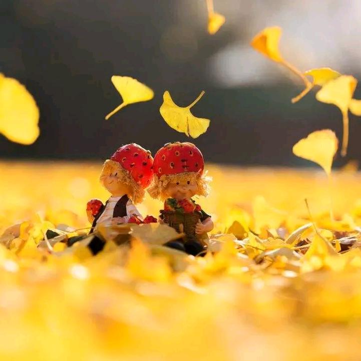 橙芭比