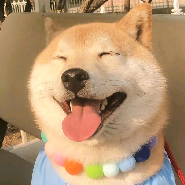 绿鲤鱼与驴