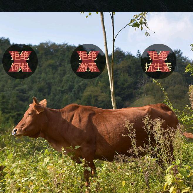 大丁生鲜