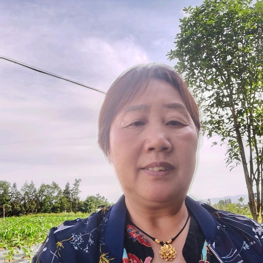 友标木门