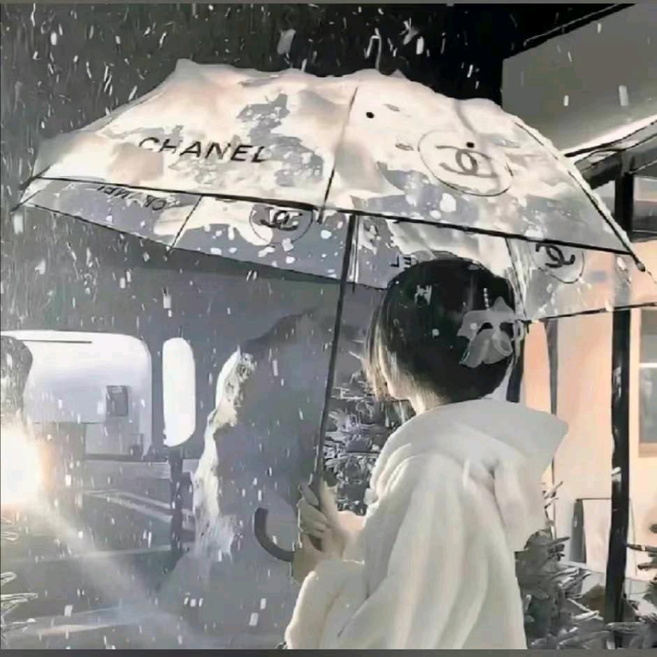 白狐姐姐
