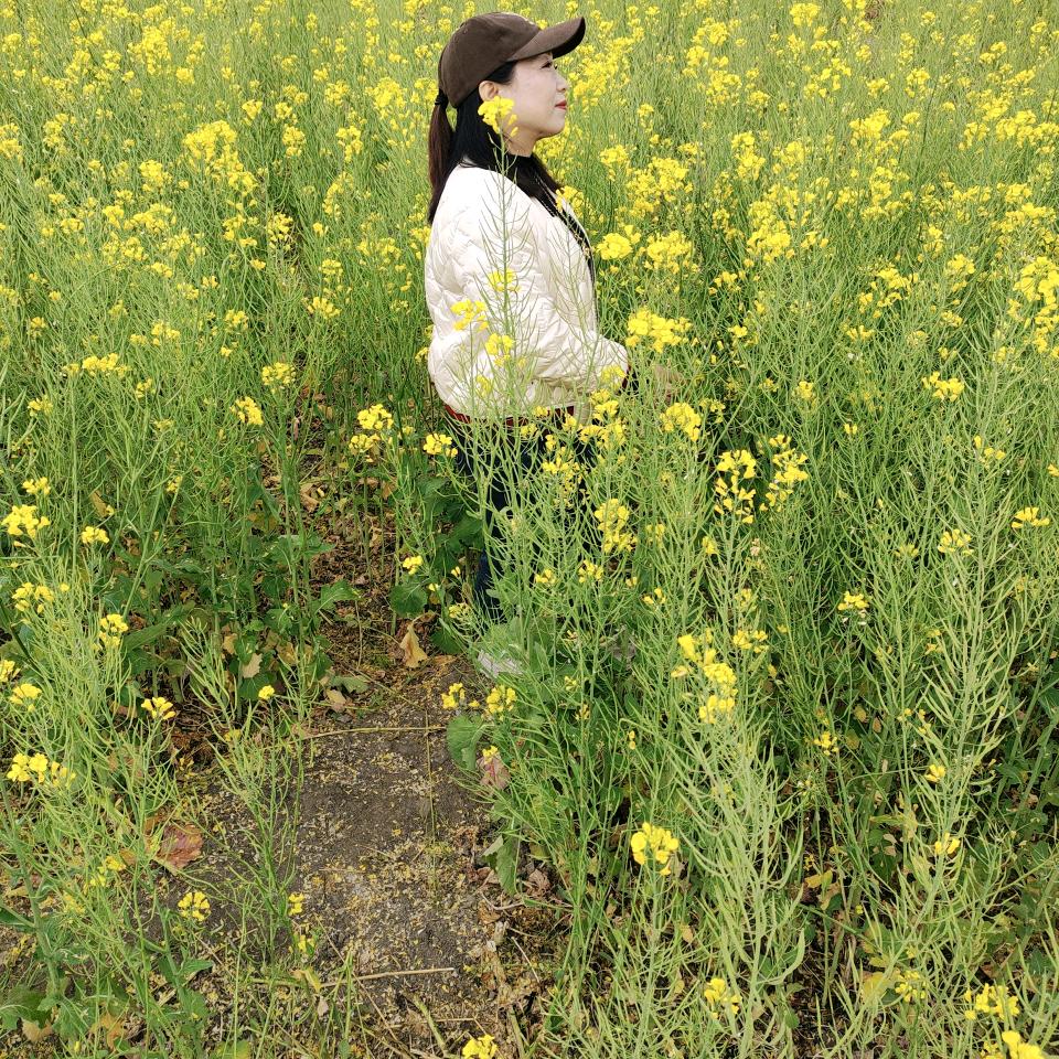 懒虫，