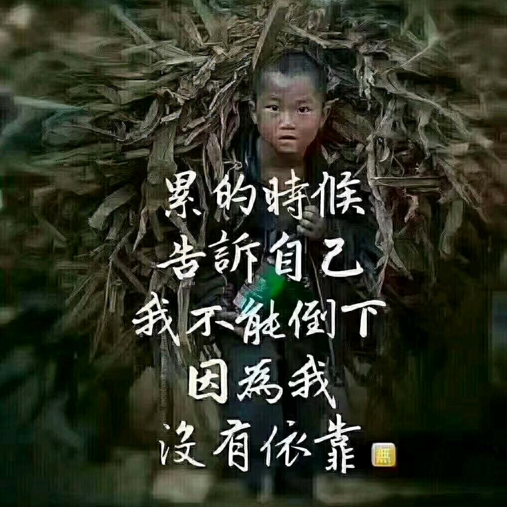 舍予（舒）
